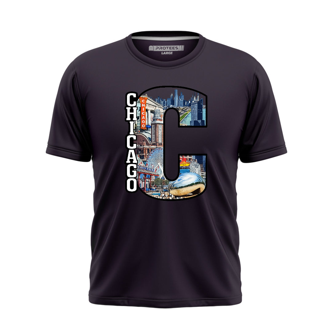 DTF - CHICAGO CITY TEE