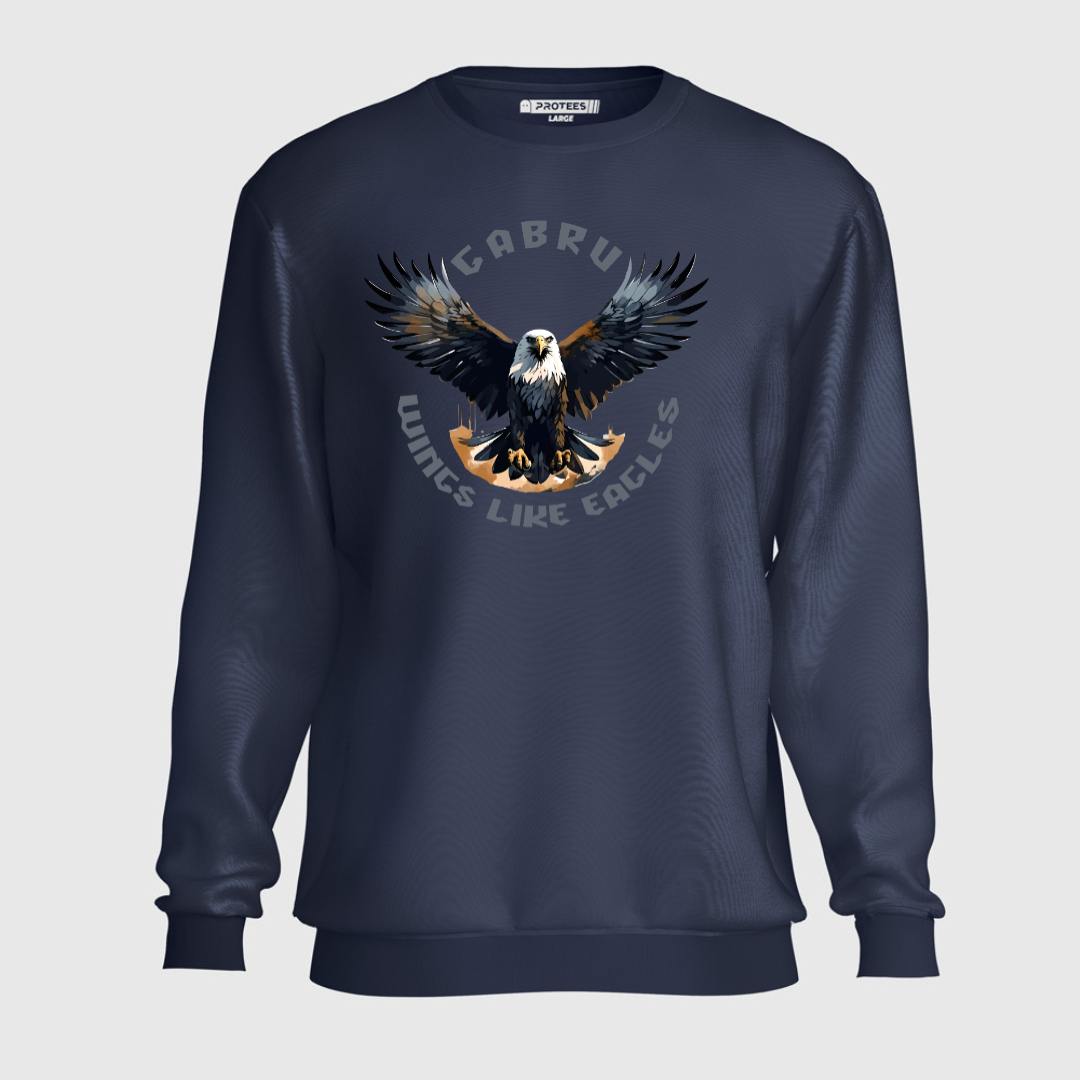 DTF - GABRU SWEATSHIRT (Copy)